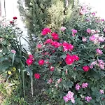 Il Fienile Di Scarperia