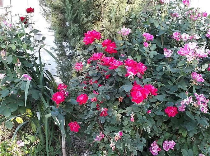 Il Fienile Di Scarperia